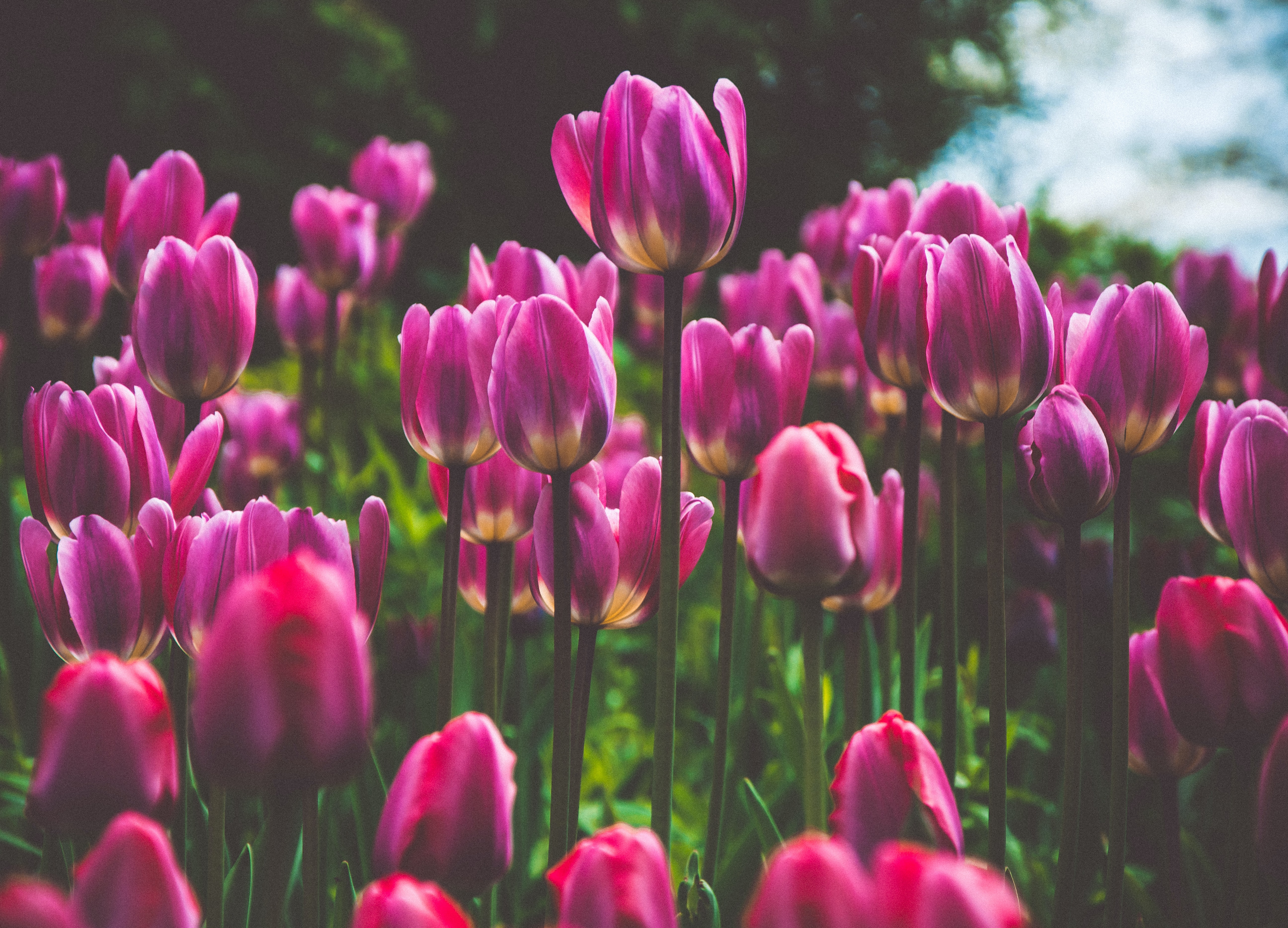 定期購入を探す